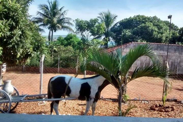 Chácara/Rancho/Sítio para Venda Terras de Santa Maria Itapuí