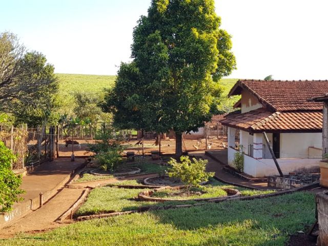 Chácara/Rancho/Sítio para Venda Rural Itapuí