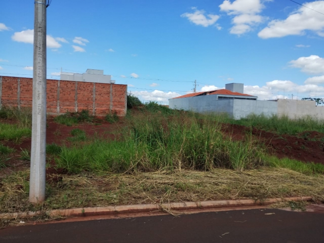 Terreno para Venda Jardim Campo Belo Jaú