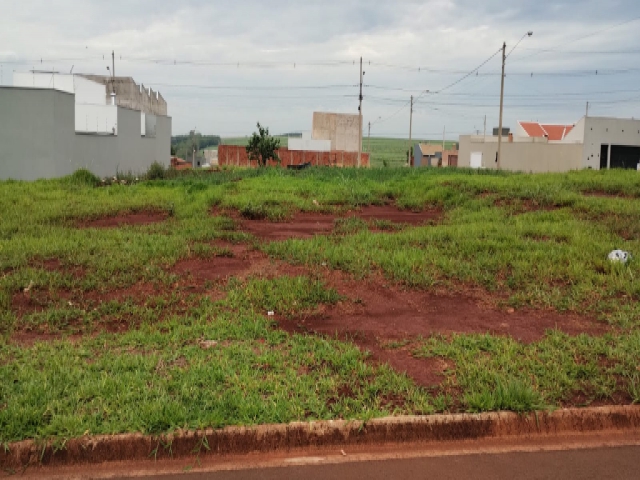 Terreno para Venda Jardim Bela Vista Jaú