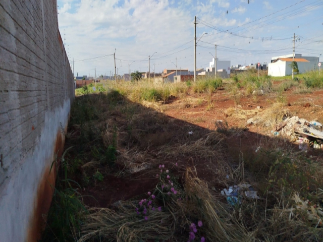 Terreno para Venda Jardim Campo Belo  Jaú